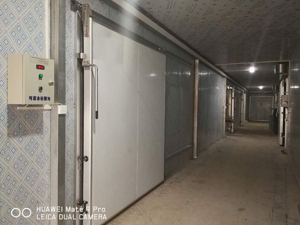 租賃低溫庫交付使用中